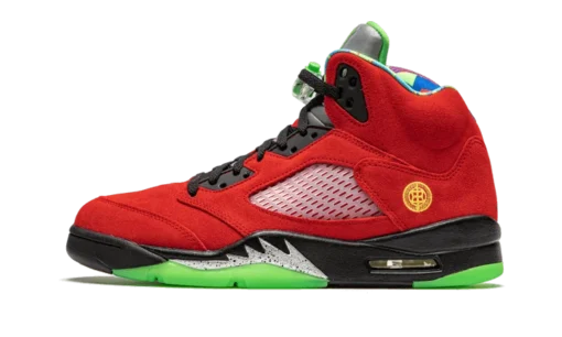 Air Jordan 5 What The
